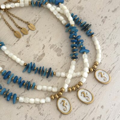 Seahorse blue coral